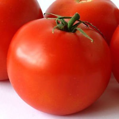 Aywal Hybrid Pusa Ruby High Yield Tomato Seed(750 per packet)