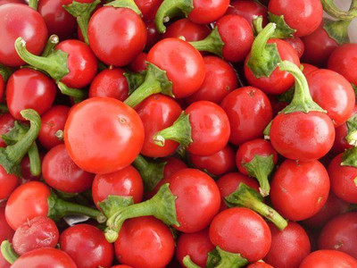 

National Gardens Red Cherry Hots Pepper Seeds by National Gardens Seed(10 per packet)