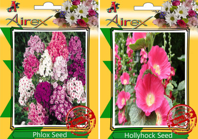 

Airex Phlox, Hollyhock Seed(20 per packet)