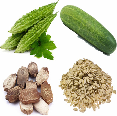 Airex Bitter Gourd, Cucumber Seed(25 per packet)