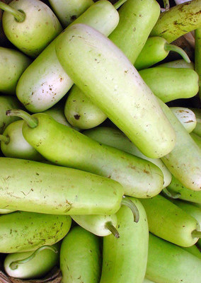 

Real Seed Bottle Gourd F1 Hybrid Seed(10 per packet)