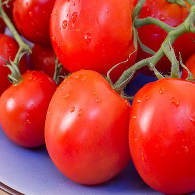 

Biocarve Tomato Seed(100 per packet)