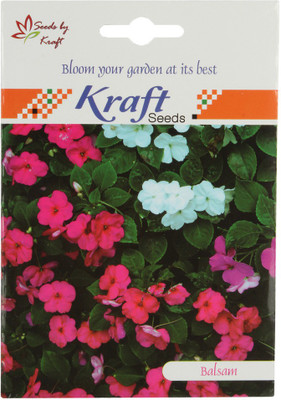 

Kraft Seeds Balsam Tom Thumb Mix Seeds (Pack of 5) by Kraft Seeds Seed(375 per packet)