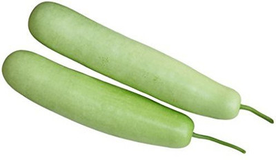 

Shubh-Bhakti ShubhBhakti- Super Fine Bottle Gourd (Lauki) Hybrid Seeds- Seed(35 per packet)