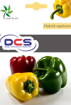 

DCS Capsicum Seed(50 per packet)