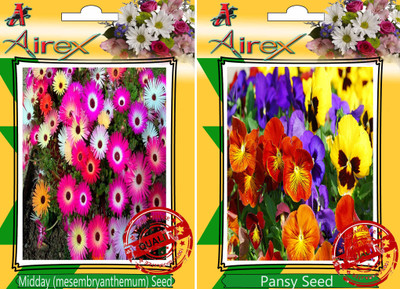 

Airex Midday, Pansy Seed(30 per packet)