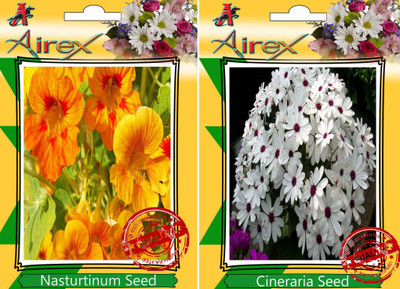 Airex Nasturtium Mixed, Cineraria Seed(20 per packet)