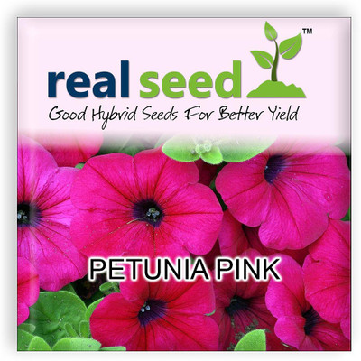 

Real Seed Petunia Pink Seed(200 per packet)