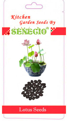 

SENECIO™ Lotus Seed(7 per packet)