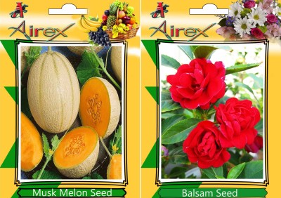 Airex Musk Melon and Balsam Seed(25 per packet)