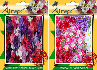 Airex Sweet Peas Spencer Mixed, Phlox Mixed Seed(30 per packet)