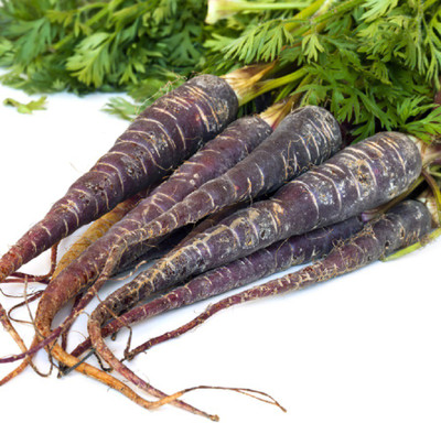Biocarve Carrot Seed(30 per packet)