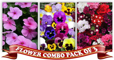 

Real Seed Flower Combo Pack - Vinca Mixed, Pansy Double Mixed, Verbeena Mixed F1 Hybrid Seeds Seed(3 per packet)