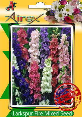 

Airex Larkspur Fire Mixed Winter Flower Seed(25 per packet)