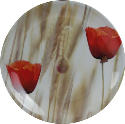 

Kjaggs Plate Set(6 Units)