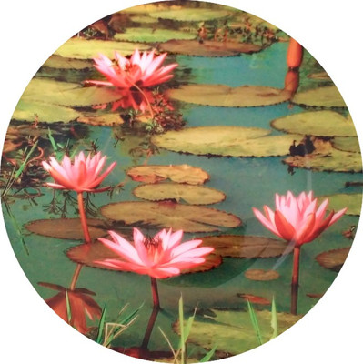 

fabulloso Leaf Designs Pink Lotus Dinner Plate
