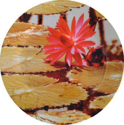 

fabulloso Leaf Designs Pink Lotus Dinner Plate
