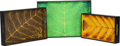 

Rang Rage DITC0001 Tray Set(Pack of 3)