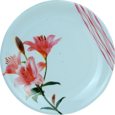

Kjaggs Plate Set(2 Units)