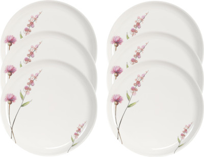 

Servewell Pink Bud Plate(6 Units)