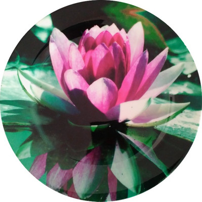 

fabulloso Leaf Designs Lotus Quarter Plate