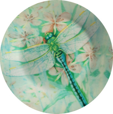 

fabulloso Leaf Designs Green Dragonfly Quarter Plate