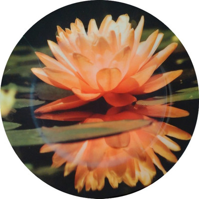 

fabulloso Leaf Designs Peach Lotus Quarter Plate