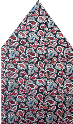 

Navaksha Floral Print Microfibre Pocket Square, Black