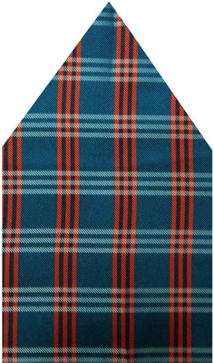 

Navaksha Checkered Microfibre Pocket Square, Green