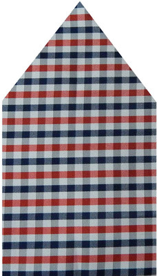 

Navaksha Checkered Microfibre Pocket Square, Multicolor