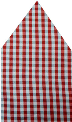 

Navaksha Checkered Microfibre Pocket Square, Red