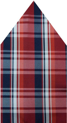 

Navaksha Checkered Microfibre Pocket Square, Maroon