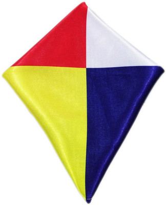 

Blacksmithh Artcarat Blue Checkered Satin Pocket Square, White