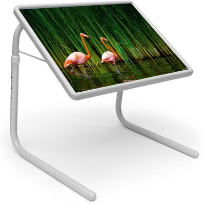 

Shopper52 Plastic Portable Laptop Table(Finish Color - Green)