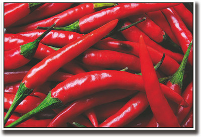 

Red chilli Fine Art Print(12 inch X 18 inch, Rolled)