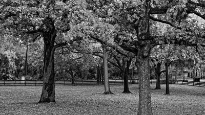 

Posterhouzz Nature Fine Art Print Poster Fine Art Print(12 inch X 18 inch, Rolled)