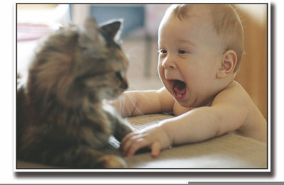 

Posterhouzz Cute baby with cat Fine Art Print(12 inch X 18 inch, Rolled)