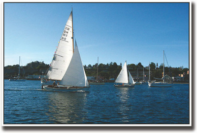 

Boats with white sails Fine Art Print(12 inch X 18 inch, Rolled)