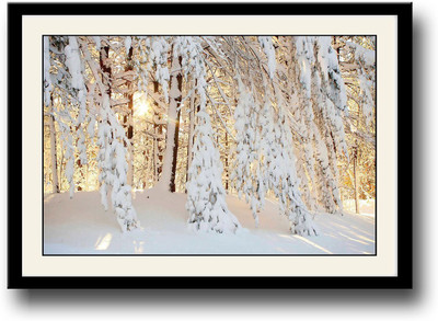 

Heavy Snow on Trees Fine Art Print(10 inch X 14 inch, Framed)