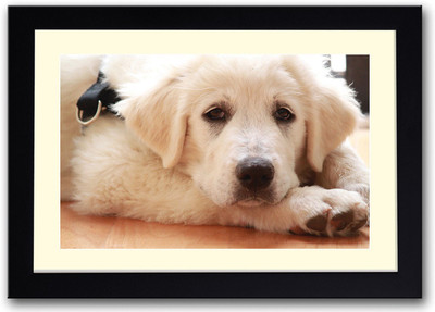 

Cute Dog AFP0506 Fine Art Print(14 inch X 20 inch, Framed)