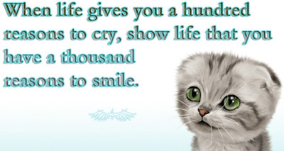 

Oshi - Inspirational Quote (2) Paper Print(12 inch X 18 inch, Streched)