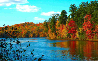 Posterhouzz Autumn Fine Art Print Poster Fine Art Print(12 inch X 18 inch, Rolled)