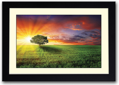 

Tree in Green landscape Fine Art Print(14 inch X 20 inch, Framed)