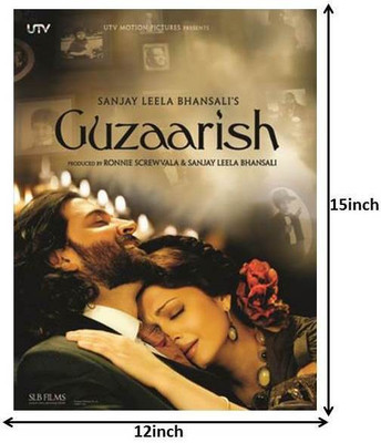 

Guzaarish Paper Print(16 inch X 12 inch, Rolled)