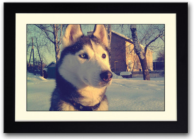 

Dog In Snow Fine Art Print(14 inch X 20 inch, Framed)