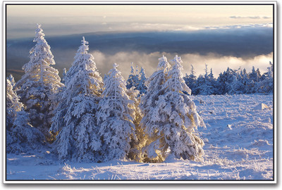 

Heavy Snowfall in Winters Paper Print(12 inch X 18 inch)