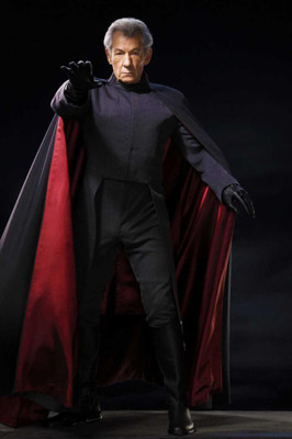 

Men (Magneto) (B) Poster Paper Print(18 inch X 12 inch, Rolled)