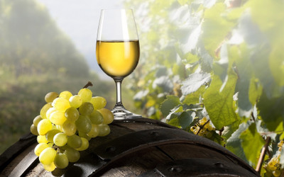 

Grape Wine - Medium Size Ready To Frame Rolled Digital Art Print On Photographic Paper(27 inch X 18 inch, Rolled)