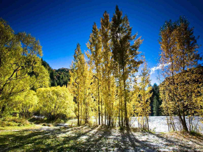 

Posterhouzz Autumn Fine Art Print Poster Fine Art Print(12 inch X 18 inch, Rolled)