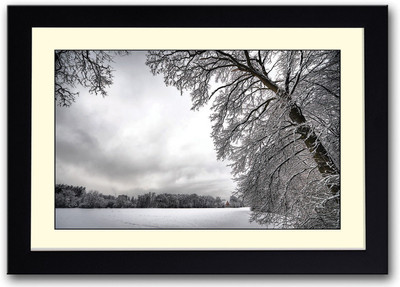 

Snow Covered Tree Fine Art Print(14 inch X 20 inch, Framed)